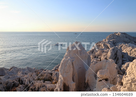 白崎海洋公園 / “日本的愛琴海”和“日本百佳海灘” [和歌山縣由良町] 134604689