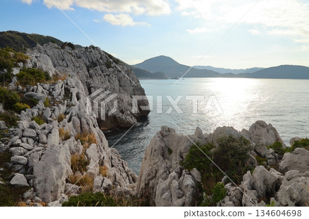 白崎海洋公園 / “日本的愛琴海”和“日本百佳海灘” [和歌山縣由良町] 134604698