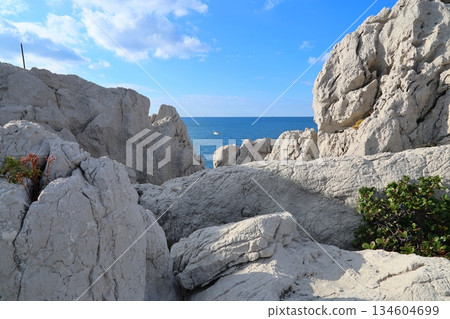 Shirasaki Marine Park / "Japan's Aegean Sea" and "Japan's 100 Best Beaches" [Yura Town, Wakayama Prefecture] 134604699