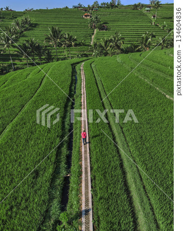 Aerial Perspective Captures Tranquil Countryside And Symmetrical Farmland Layout 134604836