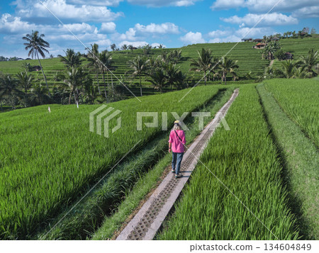 Serene Landscape Showing Woman Walking Along Lush Rice Terraces  134604849