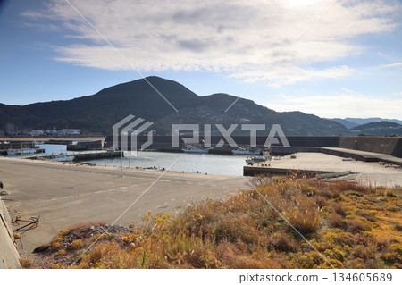 白崎海岸的大木漁港和白崎郵輪碼頭/“日本百選海灘”【和歌山縣由良町】 134605689