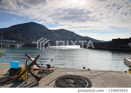 白崎海岸的大木漁港和白崎郵輪碼頭/“日本百選海灘”【和歌山縣由良町】 134605693