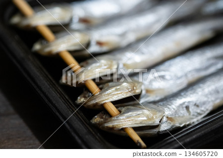 Image of a black-backed eagle 134605720