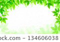 green frame with green leaves and branches 134606038