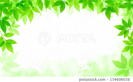 green frame with green leaves and branches 134606038