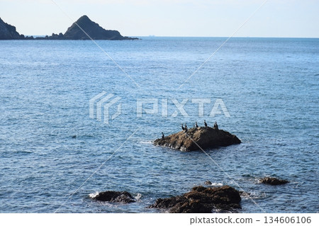 白崎海灘 / “日本百佳海灘” [和歌山縣由良町] 134606106