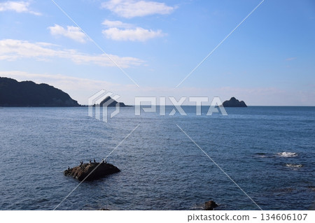 白崎海灘 / “日本百佳海灘” [和歌山縣由良町] 134606107