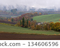 綿延的草原和秋色斑斕的森林 134606596