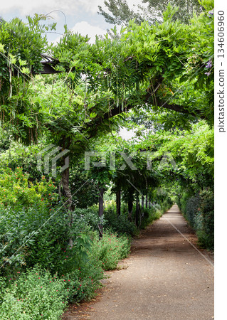 Urban path lined with plants for walks Urban path lined with plants for walks 134606960