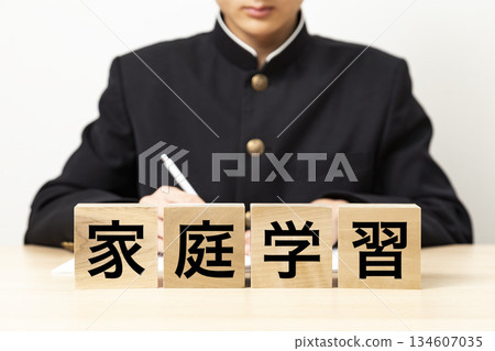 一塊寫著「家庭學習」的積木和一個男學生 一塊寫著「家庭學習」的積木和一個男學生 134607035