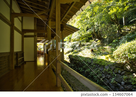 小倉山二尊院：主殿西側的美麗走廊 1 134607064