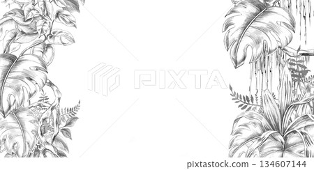 Rectangular frame with vines, tropical plants, ferns, and herbs. Isolated pencil illustration for event invitation design, eco-hotel print design, poster printing, and menu design. 134607144