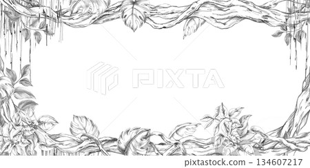 A rectangular frame with branches entwined with vines and lilies. Isolated pencil illustration of a tropical forest for event invitations, eco-hotel print design, poster printing, and menu design. 134607217