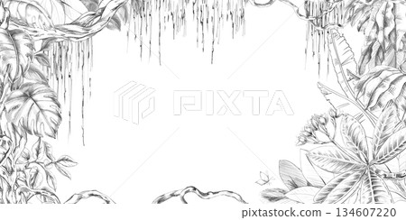 A rectangular tropical forest frame with vines, tangled leaves, and branches. Isolated pencil illustration for event invitation design, eco-hotel print design, poster printing, and menu design. A rectangular tropical forest frame with vines, tangled leaves, and branches. Isolated pencil illustration for event invitation design, eco-hotel print design, poster printing, and menu design. 134607220