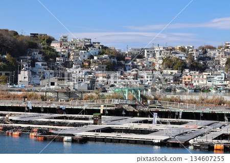 Saikazaki (Japan's Amalfi) / Wakayama City 134607255