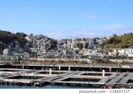 西賀崎(日本的阿瑪菲)/和歌山市 西賀崎(日本的阿瑪菲)/和歌山市 134607257
