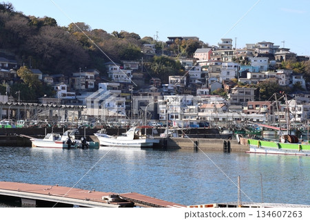 Saikazaki (Japan's Amalfi) / Wakayama City Saikazaki (Japan's Amalfi) / Wakayama City 134607263