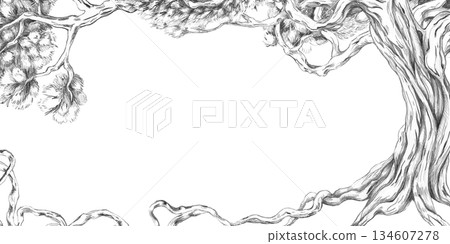 A rectangular frame with a mighty tree with roots and branches. Isolated pencil illustration for event invitation design, eco-hotel print design, poster printing, and menu design. 134607278