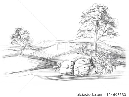 A rolling landscape with trees and large rocks in the foreground. Isolated pencil illustration for event invitations, eco-hotel print design, poster printing, and menu design. 134607280