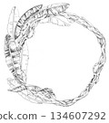 A round frame with banana tree leaves entwined with vines. Isolated pencil illustration for event invitations, eco-hotel print design, poster printing, and menu design. 134607292