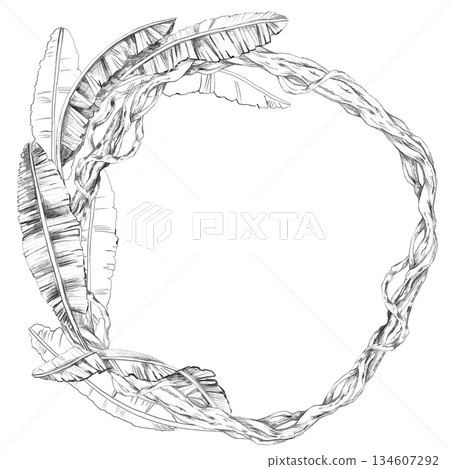 A round frame with banana tree leaves entwined with vines. Isolated pencil illustration for event invitations, eco-hotel print design, poster printing, and menu design. A round frame with banana tree leaves entwined with vines. Isolated pencil illustration for event invitations, eco-hotel print design, poster printing, and menu design. 134607292