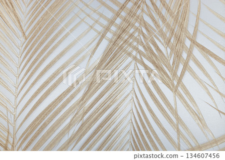 Soft Focus Dried Palm Leaves Aesthetic Texture 134607456