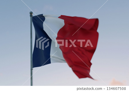National flag of France waving in the wind against a clear sky, symbolizing patriotism, independence, national pride, and unity.  Freedom, creative. Travel, concept 134607508