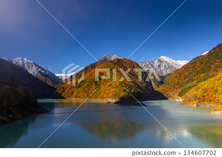 Hiratakaseniri, Omachi City, Nagano Prefecture: Autumn foliage at Lake Ryujin, part of the Omachi Dam, and Mount Kitakadzu covered in snow 134607702