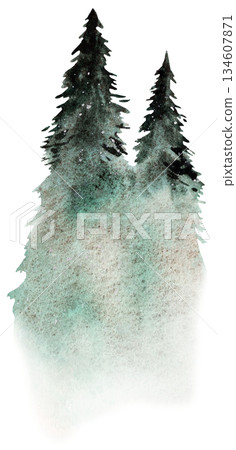 Hand drawn watercolor green spruce or pine tree misty forest, winter isolated illustration Hand drawn watercolor green spruce or pine tree misty forest, winter isolated illustration 134607871