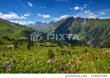 Scenic mountain landscape with alpine blooming meadows. Location place Alps, Europe. Scenic mountain landscape with alpine blooming meadows. Location place Alps, Europe. 134607946