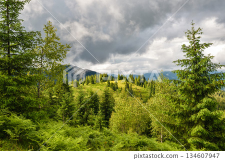 Wonderful summer panorama with mountains. A thunderstorm is coming. Rain Clouds Above Mountains. Wonderful summer panorama with mountains. A thunderstorm is coming. Rain Clouds Above Mountains. 134607947