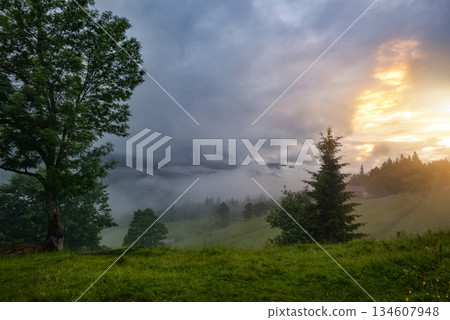 Beautiful summer sunset scene in the mountains with spectacular sky and fog. Mystical landscape. Beautiful summer sunset scene in the mountains with spectacular sky and fog. Mystical landscape. 134607948