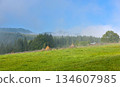 A beautiful foggy morning in the mountains. Carpathian, Ukraine, Europe. 134607985