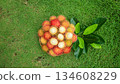 Top view freshly rambutan sweet, half peeled rambutan fruit showing white flesh, organic tropical fruit  134608229
