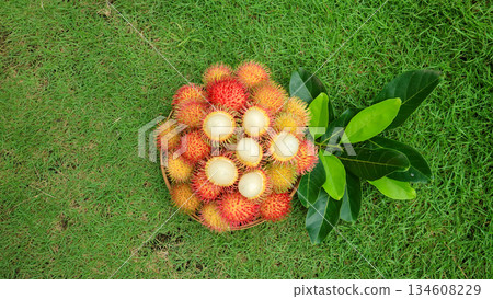 Top view freshly rambutan sweet, half peeled rambutan fruit showing white flesh, organic tropical fruit Top view freshly rambutan sweet, half peeled rambutan fruit showing white flesh, organic tropical fruit 134608229