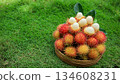 Ripe fresh rambutan in basket showing white flesh, organic tropical fruit, healthy food  134608231
