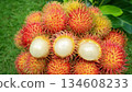 Close up rambutan fruit showing white flesh, healthy food, organic tropical fruit  134608233