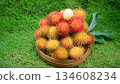 Ripe rambutan fruit in basket, Tropical organic harvest fruit  134608234
