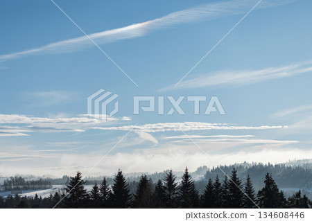 Wide panoramic winter landscape with silhouetted pine trees against snowy, misty fields. Bright blue sky features delicate cirrus clouds. A peaceful, expansive, and crisp cold-weather scene Wide panoramic winter landscape with silhouetted pine trees against snowy, misty fields. Bright blue sky features delicate cirrus clouds. A peaceful, expansive, and crisp cold-weather scene 134608446