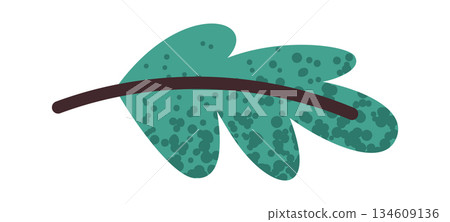 Oregano leaf green food seasoning 134609136