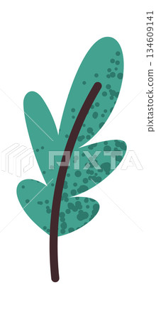 Aromatic green leaf for cooking 134609141