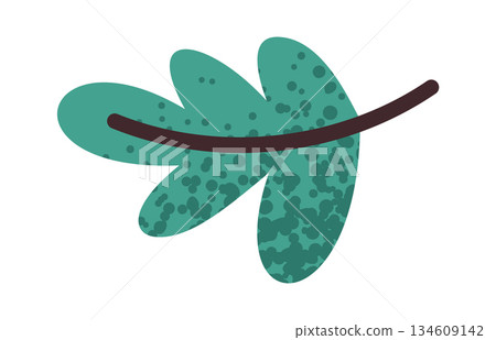 Green herbs for pizza preparation 134609142