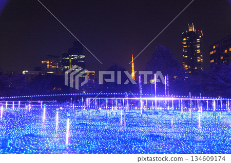 Tokyo Midtown Illuminations Christmas Tokyo Tower 134609174