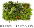 Top view plant group on white background 134609449