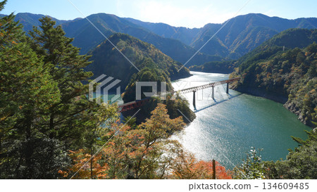 Okuoikojo Station Autumn 134609485
