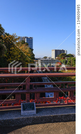 富士見大橋(位於東京世田谷區)被評為關東地區觀賞富士山的100佳景點之一。 富士見大橋(位於東京世田谷區)被評為關東地區觀賞富士山的100佳景點之一。 134609495