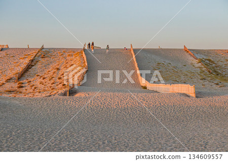 Scenery of Nakatajima Sand Dunes in Hamamatsu City (Shizuoka Prefecture) 134609557
