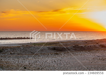 靜岡縣濱松市中田島沙丘的景色 134609558