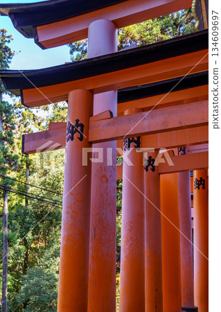 Kyoto in Japan Kyoto in Japan 134609697